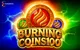 Burning Coins 100